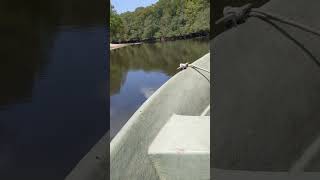 Edisto River in South Carolina [upl. by Lucchesi]