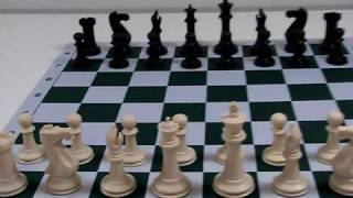 Executive Staunton Chess Pieces from Wholesale Chess [upl. by Dodge]