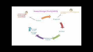 illumina golden gate assay for maize SNP genotyping [upl. by Sheba]