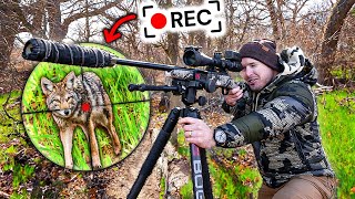 My First Ever Coyote Hunting Tournament  Scope Cam [upl. by Baseler]