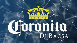 Legjobb Coronita Mix 2024 Február  Dj Bacsa [upl. by Lledal]