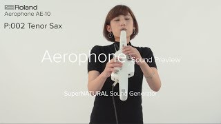 Roland Aerophone AE10 Sound Preview [upl. by Nuawd]