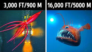 Fascinating 3D Journey to the Ocean Depths [upl. by Bel]