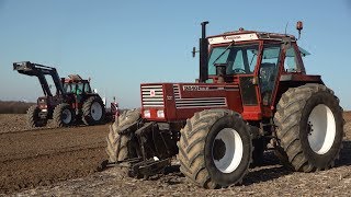 Fiatagri 18090 DT amp Fiatagri 16090 DT  Frezen en Cultiveren [upl. by Adnirb223]