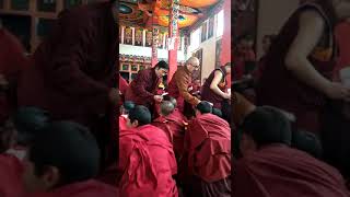 Traveling around Tibet tibet vajrayana traveling buddhism explore [upl. by England823]