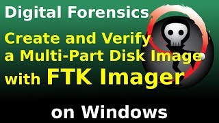 FTK Imager  Create and verify a multipart disk image [upl. by Olnton455]