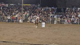 Poway Rodeo 2024 JR Barrel Racing Natalie Antonelli [upl. by Lanza889]