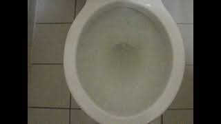 581 BorgWarner Academy toilet  video 1 [upl. by Reagan]