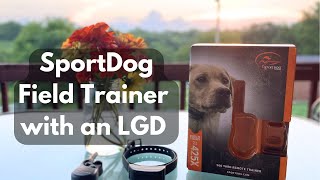 SportDog Field Trainer 425x Review with a Karakachan LGD [upl. by Obeng]