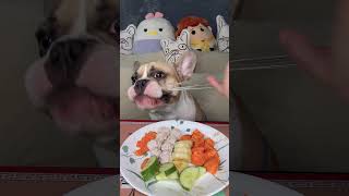 I Ruined My Frenchies Perfect Meal 🍽😂shorts [upl. by Nyrad]