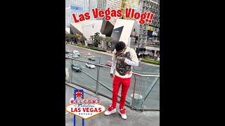 Las Vegas BDay Vlog Part 1 [upl. by Eded]