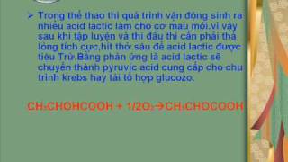 CHUYÊN ĐỀ ACID LACTIC [upl. by Sweyn]