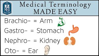 Medical Terminology MADE EASY Root Words Nursing Students Coding [upl. by Blayne]