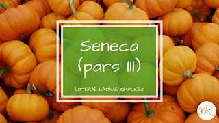 Seneca pars III  Latin language podcast  Litterae Latinae Simplices 42 [upl. by Brenan]