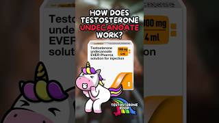 How does Testosterone Undecanoate Work [upl. by Aiyram]