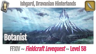 FFXIV Botanist Leves Level 58  Ishgard Dravanian Hinterlands  Heavensward [upl. by Zil]