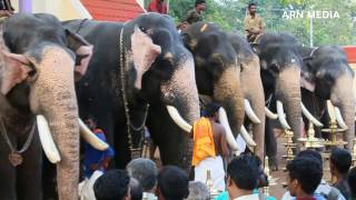 Arattupuzha Pooram 2017 Kerala Elephants [upl. by Damiano]