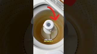 I Saved This Washing Machine cleaning satisfying cleaningtips [upl. by Ecnerrot106]