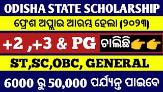 ODISHA STATE SCHOLARSHIP 2023 ll odisha state scholarship 2023 latest updates ll scholarship 2023 [upl. by Dibri]