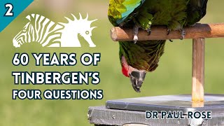 BIAZA Brings YouDr Paul Rose  The Continued Relevance of Tinbergens Four Questions to Zoos [upl. by Neural]