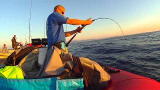 jigging  Jigging Master FREE JIGGER 200B CUSTOM vs Big Bluefin Tuna 130LBS [upl. by Garbers]