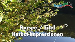 Rursee  Herbstmotive  Musikversion  RheinEifelTV [upl. by Eberly]