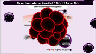 Deep Insight Into ImmunoOncology Immunotherapy Pathways Targets and Biomarkers [upl. by Swirsky815]