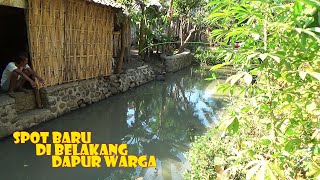 Mancing di spot baru  Mancing di selokan belakang rumah warga [upl. by Airakaz]