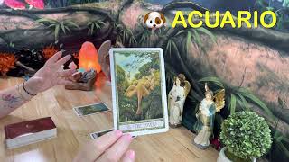 ⏱Acuario♒️OMG😱ENAMORADA DE TU LECTURA🥰SE ACERCA UN ENCUENTRO DE ALMAS😍Energías 15Sept 2022 [upl. by Aramoj]