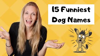 15 Funniest Dog Names  I love 1 🐶❤️ [upl. by Terryl]