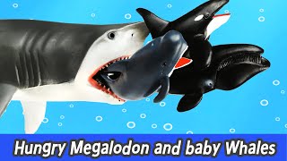 EN Hungry Megalodon and baby whales sharks and whales cartoons for kids collectaㅣCoCosToy [upl. by Ellenyl932]