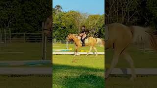 Dressage lesson dressage horseedits equestrian equestrianedit [upl. by Edric]