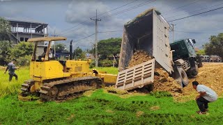 Incredible Rescue amp Tree Clearing KOMATSU D59 amp Dump Truck in New Landfilling Project [upl. by Elwina]