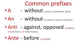 Medical terms  common prefixes [upl. by Andrade]