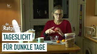 Tageslichtlampen – Lichttherapie für die dunkle Jahreszeit  Die Ratgeber [upl. by Airrehs]