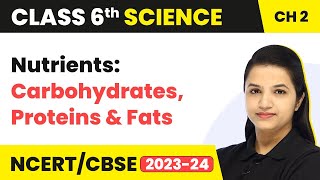 Class 6 Science Chapter 2  Nutrients Carbohydrates Proteins amp Fats  Components of Food [upl. by Adnylg]