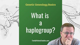 What is a Haplogroup  Genetic Genealogy Explained [upl. by Leary666]