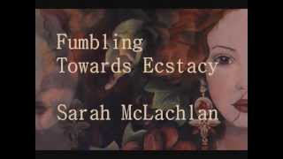 Fumbling Towards Ecstacy  Sarah McLachlan Lyrics [upl. by Arded226]