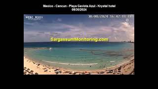 2024 Sargassum Monitoring® Official  Mexico  Cancun [upl. by Evie]