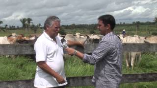 Maranhão Rural visita fazenda Sansapé em Penalva  MA [upl. by Etnaud]