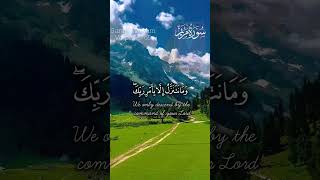 Surah Maryam Verse 6365Yasser Aldosari ياسر الدوسريسورة مريم [upl. by Leanatan]