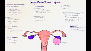 Benign Ovarian Tumors  Ovarian Cysts  histology  clinics [upl. by Ssor200]