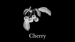 Cherry – Lana Del Rey Instrumental Cover Horror Harp Vərsion [upl. by Timms588]