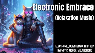 Electronic Embrace Relaxation Music [upl. by Drahsar160]