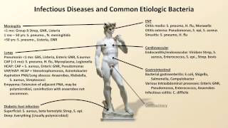 Bacterial Etiologies of Common Infections Antibiotics  Lecture 2 [upl. by Luelle]