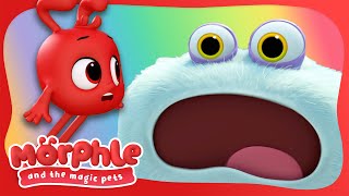 Meet Gobblefrog  Morphle and the Magic Pets  Available on Disney and Disney Jr [upl. by Pahl30]