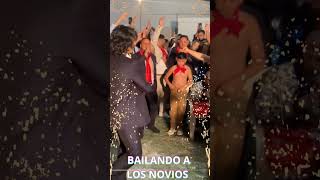 Boda Gitana Bailando A Los Novios 2024 [upl. by Ididn881]