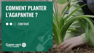 TUTO Comment planter lagapanthe   Jardinerie Gamm vert [upl. by Cramer671]