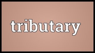 Tributary Meaning [upl. by Seaden266]