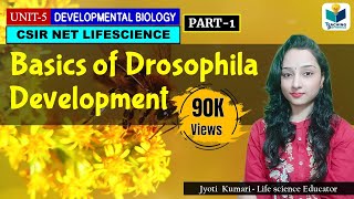 DEVELOPMENTAL BIOLOGY OF DROSOPHILA PART1  CSIR NET LIFESCIENCE  IMPORTANT [upl. by Dnalon]